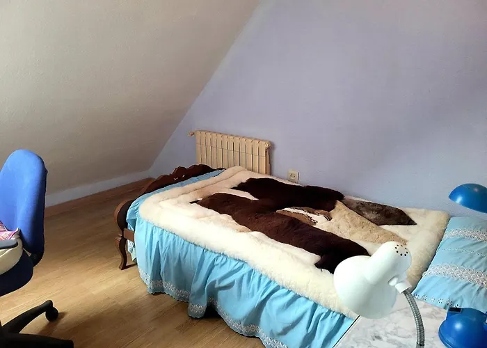 Palau 2 Homestay szállás *