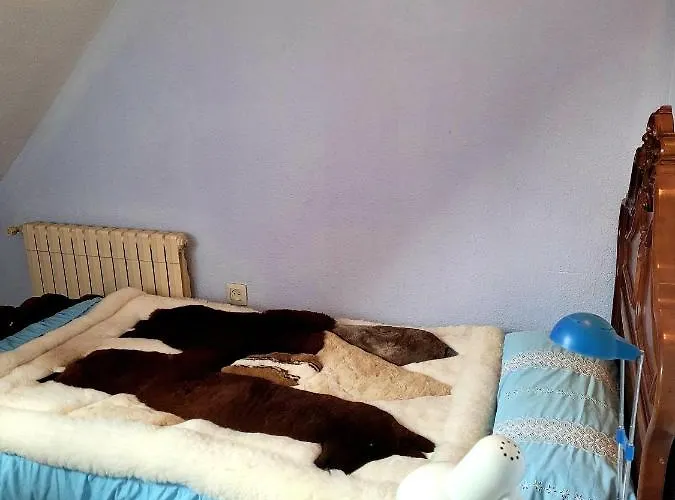 Palau 2 Homestay szállás *